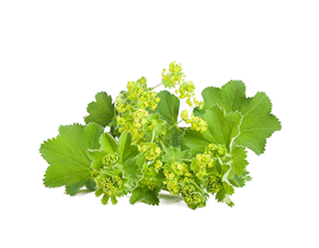 virak-za-plodnost