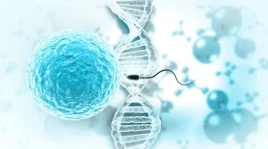 DNK fragmentacija spermatozoida