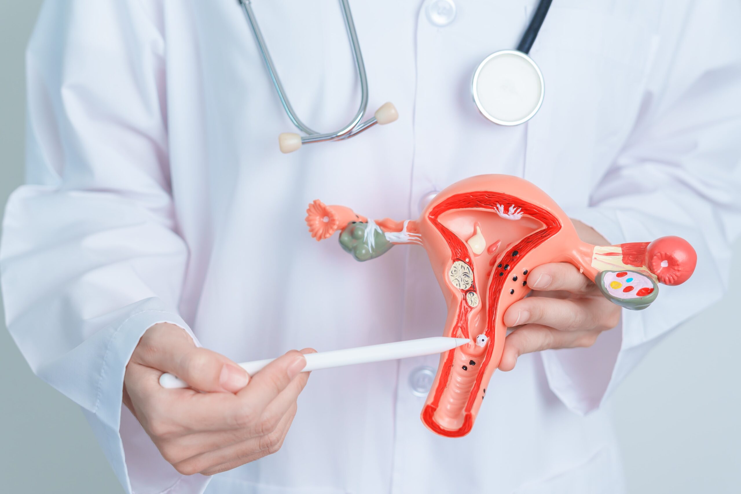 Šta-žene-treba-da-znaju-o-svojim-jajnicima