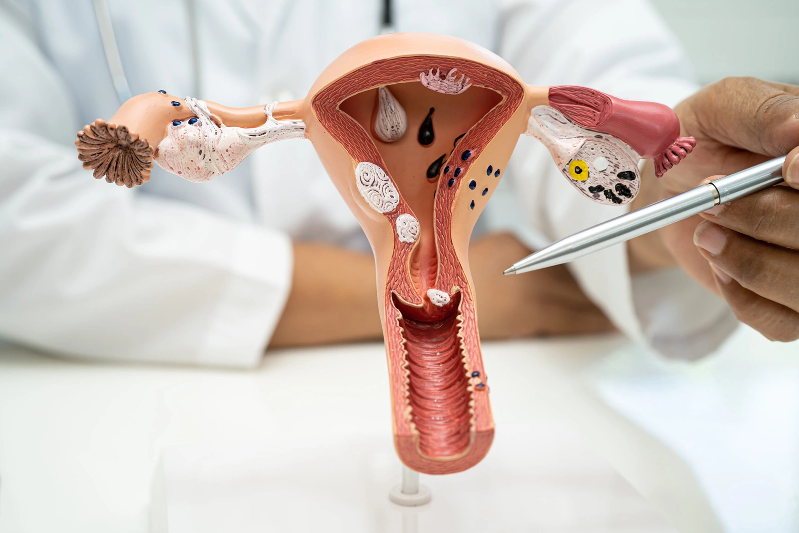 Šta menstrualni ciklus govori o tvojoj plodnosti?