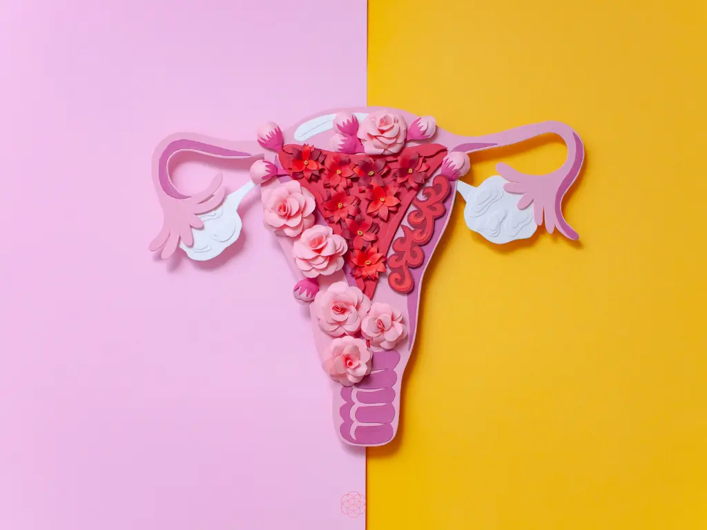 Kako pratiti endometriozu kroz vreme simptomi nalazi i jasniji razgovor sa lekarom