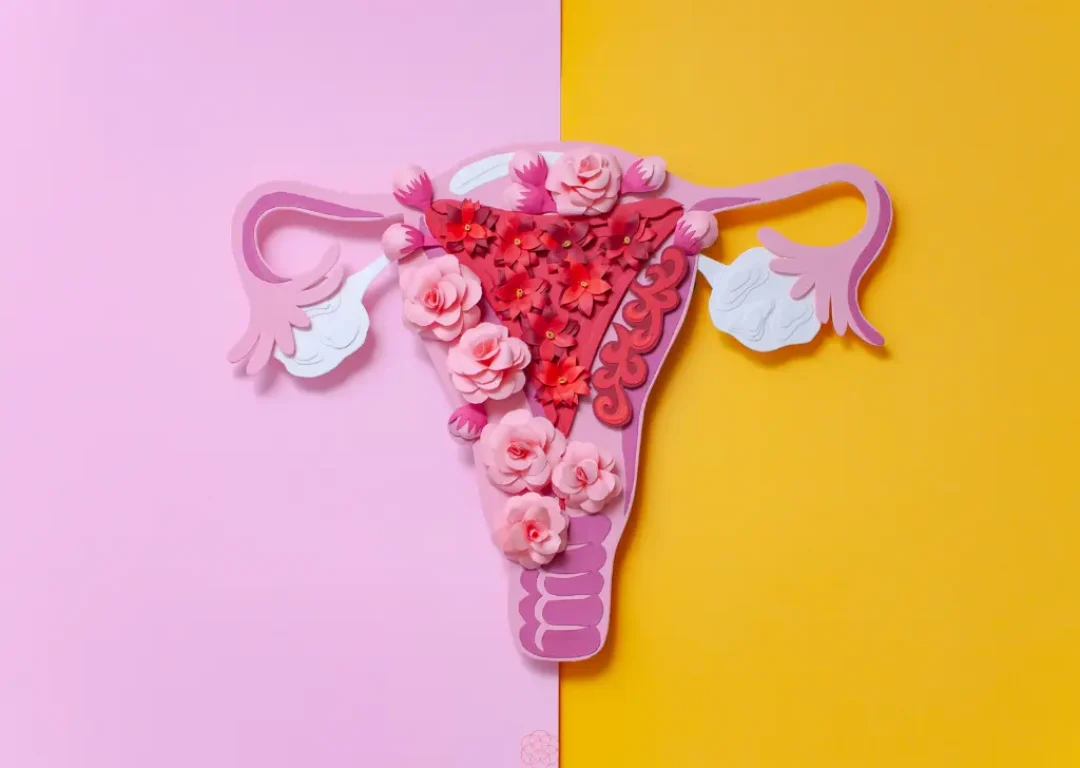 Kako pratiti endometriozu kroz vreme simptomi nalazi i jasniji razgovor sa lekarom