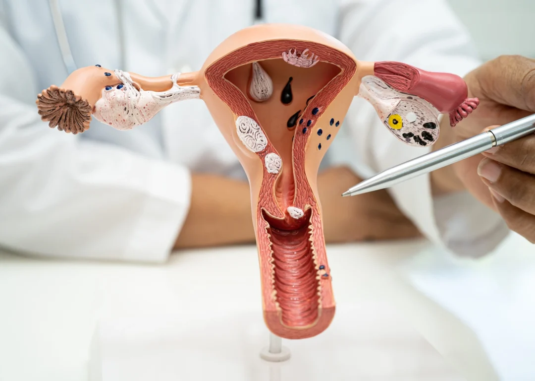 Šta menstrualni ciklus govori o tvojoj plodnosti?